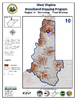 thumbnail image of broadband coverage map in region 10 of the state, fixed wireless technology