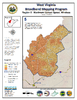 thumbnail image of broadband coverage map in the state, maximum upload speed, wireless