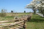 a Gettysburg field