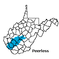 Peerless map page