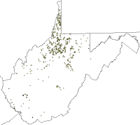 Image of Permitted Marcellus Wells
