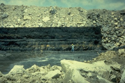 Stockton and Coalburg coalbeds merging to 24 ft of coal in Nicholas County WV