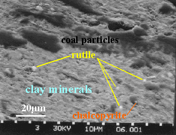 SEM photomicrograph of 1-2 m rutile grains in a shale parting in the Stockton coal