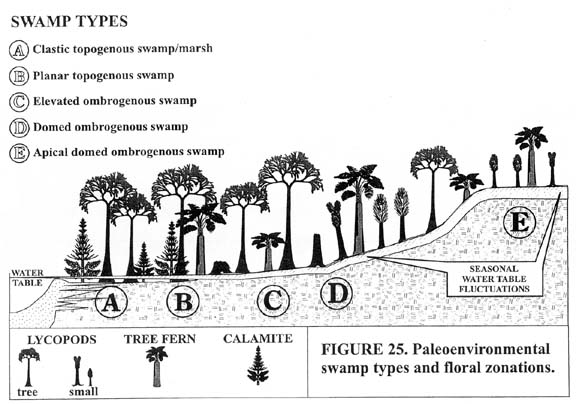 Swamp Types