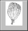 Crinoid with a Small Section of Stem