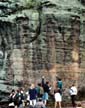 Student Field Trip