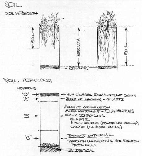 Soil