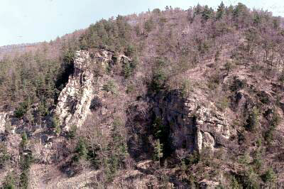 Oriskany Folding - North Mapledale