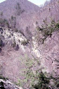 Northwest Limb 'Peel-Down' of Mapledale Hollow