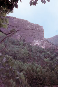 Blue Rock, Frontal View (Devonian-Silurian Carbonate)