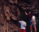 RockCamp participants in the field