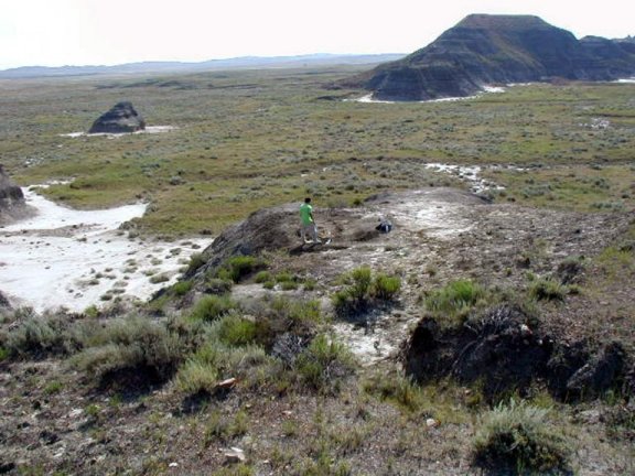 Edmontosaurus discovery site