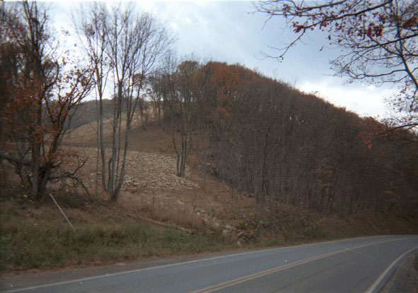 Briery Gap Member (Foreknobs Formation, Greenland Gap Group, Upper Devonian)