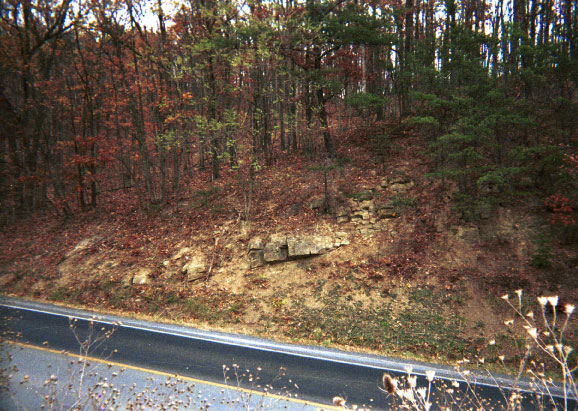 Minnehaha Springs Member at base of Scherr Formation (Lower Greenland Gap Group, Upper Devonian)