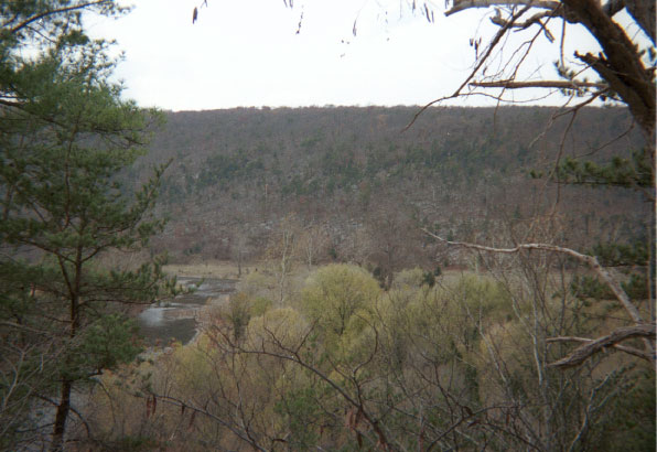 East flank of northeastward-plunging Elkhorn Mountain anticline