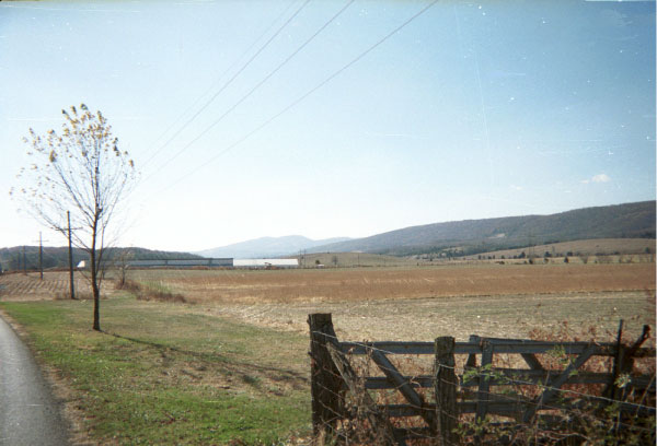 Meander core, Kessel alluvial, Moorefield