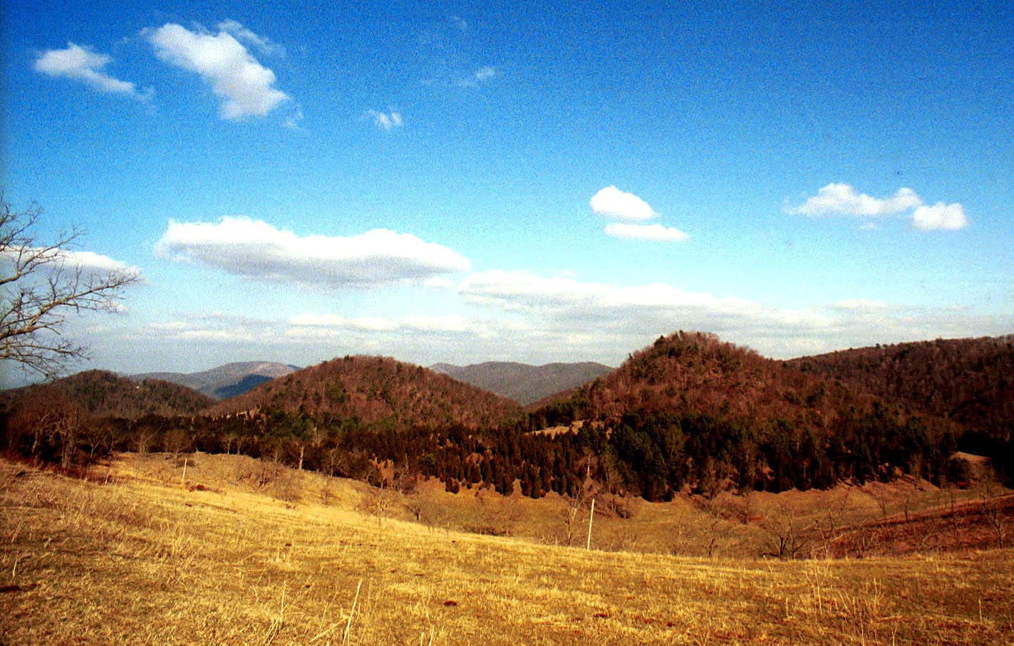 Gumdrop hill formed by Helderberg Group and Oriskany Sandstone, west of Ruddle, WV