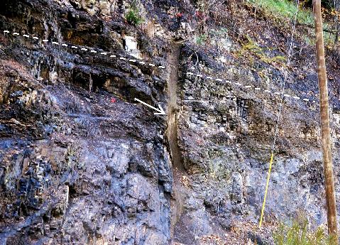 Porphyritic basalt dike in the Devonian Millboro Shale,
north of Brandywine, WV