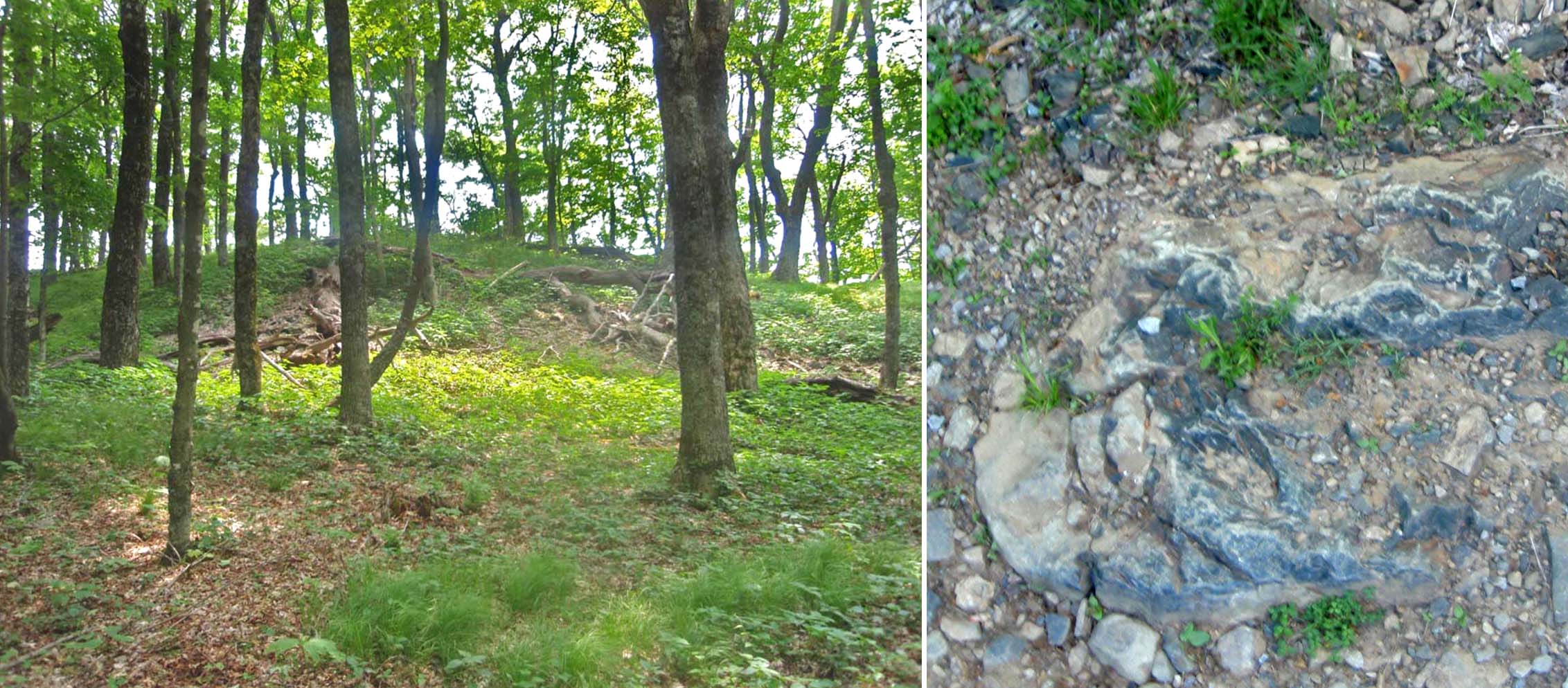 Basalt outcrops on the Hightown quad