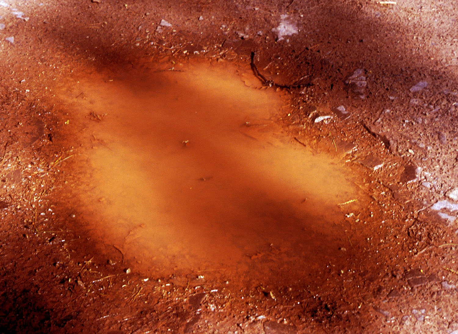 Mud puddle in the Hampshire, Shenandoah Mtn., VA