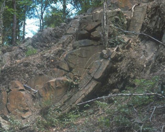 Folded Sandstones, Foreknobs Formation, Sugar Grove Quadrangle
