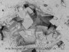 FIGURE A3-7 B. NBackscattered SEM photomicrograph of nonplanar (saddle) 
        dolomite cement filling a small vug in the Trenton Formation.