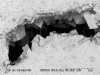 FIGURE A5-19.  SEM photographs of nonplanar (saddle) dolomite partially 
        		filling vugs in the same sample shown in Figure A5-16.