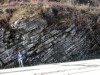 FIGURE 2. Limestone tempesites or turbidites interbedded with siliciclastic shales in the Trenton Formation at Union Furnace, PA.