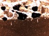 Figure 8C. Thin section photomicrograph of the hardground 
        surface that the geologist's finger points to in A.