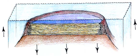 Cross Section