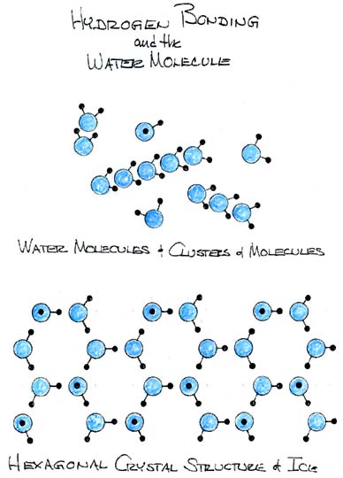 Hydrogen Bonding