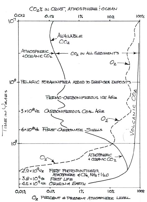 Percentage of CO2 in Crust, Atmosphere, and Ocean