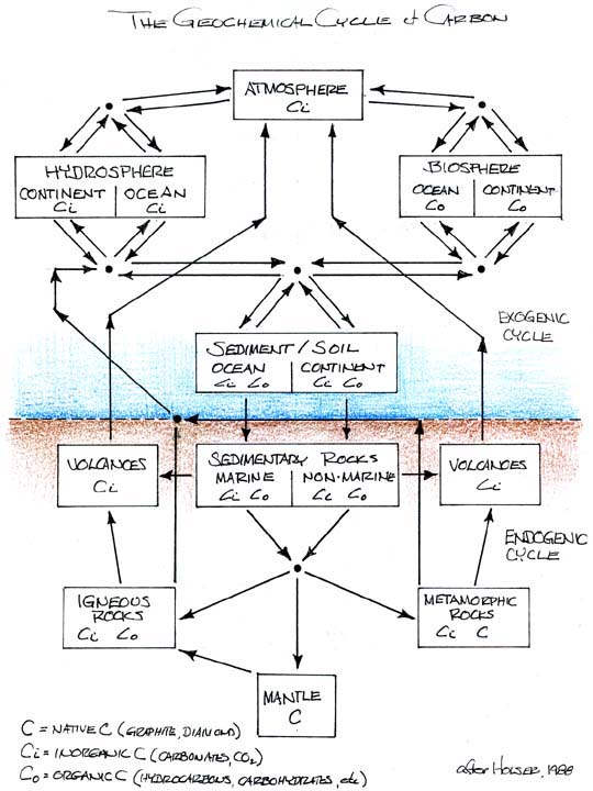 The Geochemical Cycle of Carbon