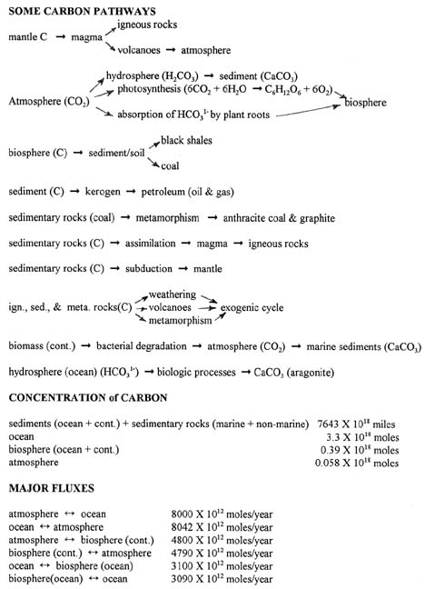 Some Carbon Pathways