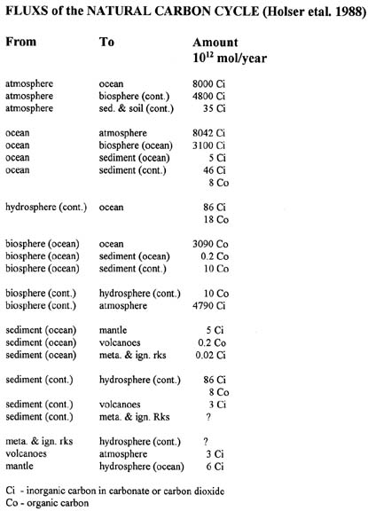 Fluxes of the Natural Carbon Cycle